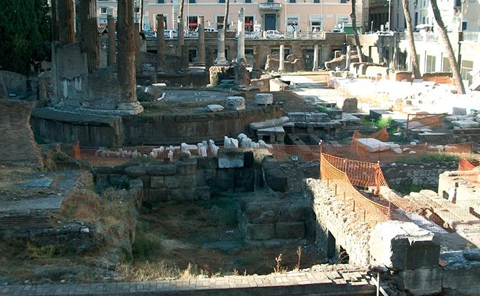 Gatos entre ruinas romanas