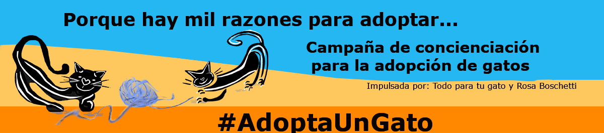 Campaña Adopta un gato