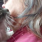 ¿Por qué mi gato me muerde el pelo?