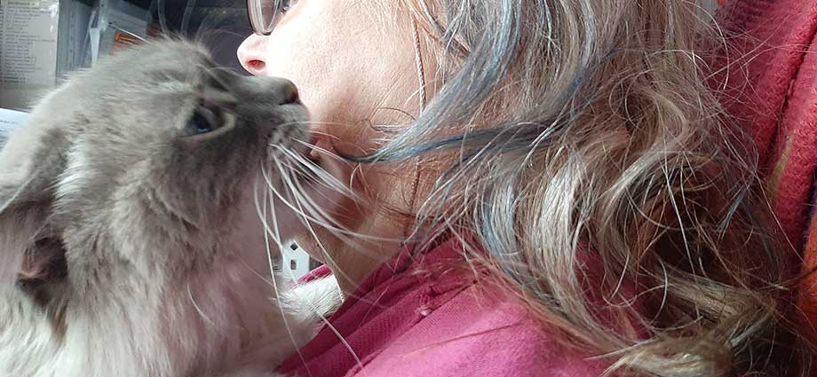 ¿Por qué mi gato me muerde el pelo?